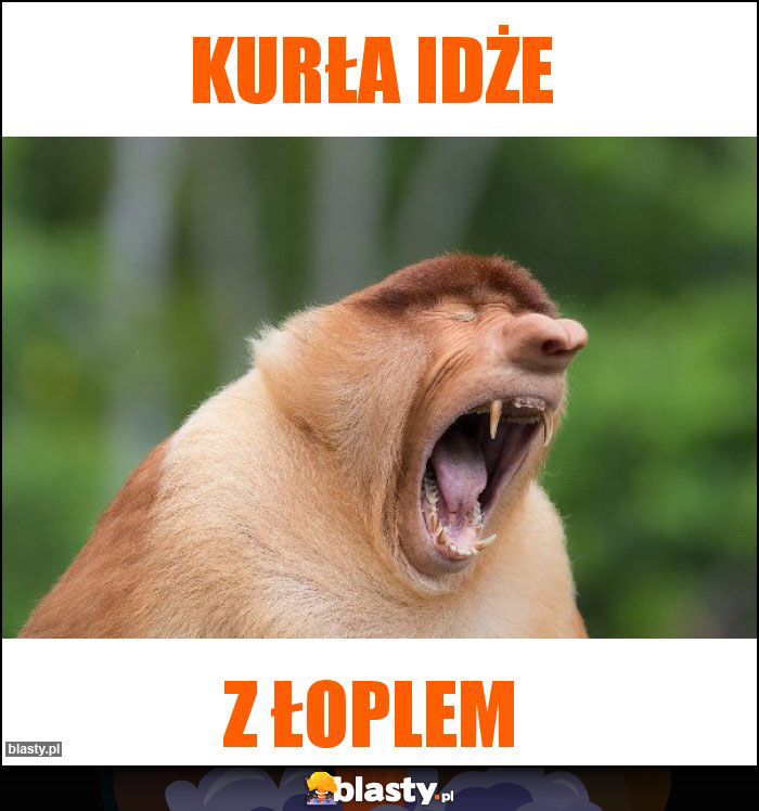 kurła idże