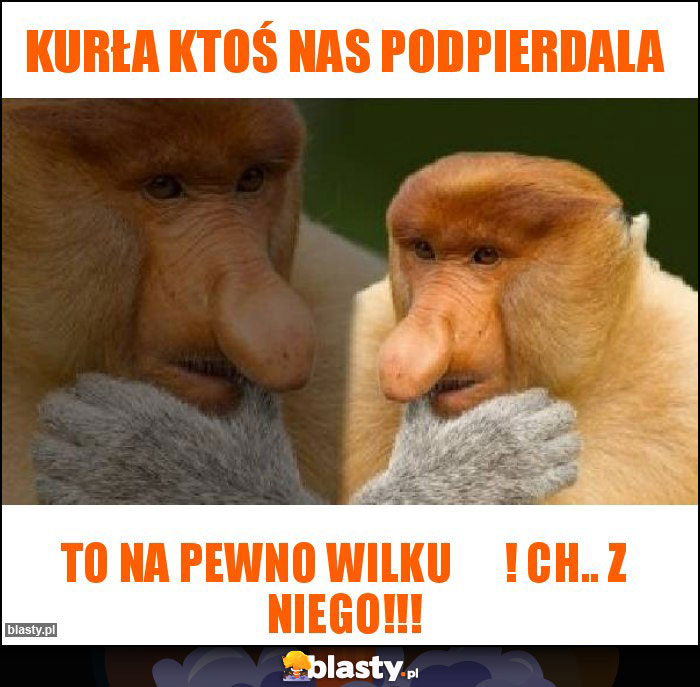 Kurła ktoś nas podpierdala