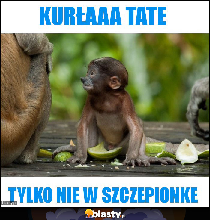 kurłaaa tate