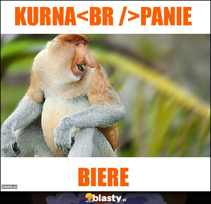 Kurna
Panie