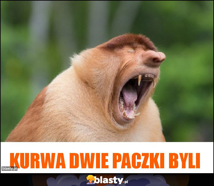 KURWA DWIE PACZKI BYLI