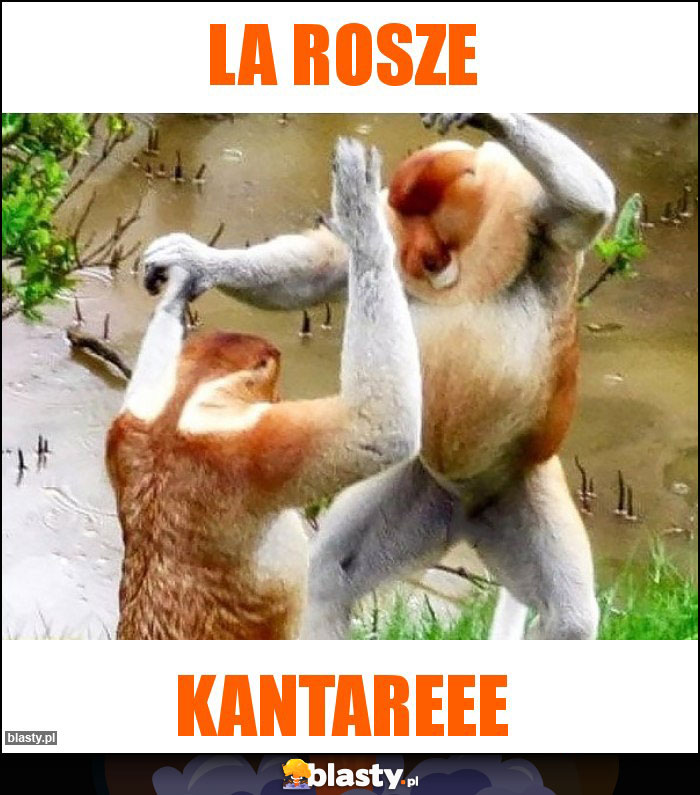 La rosze