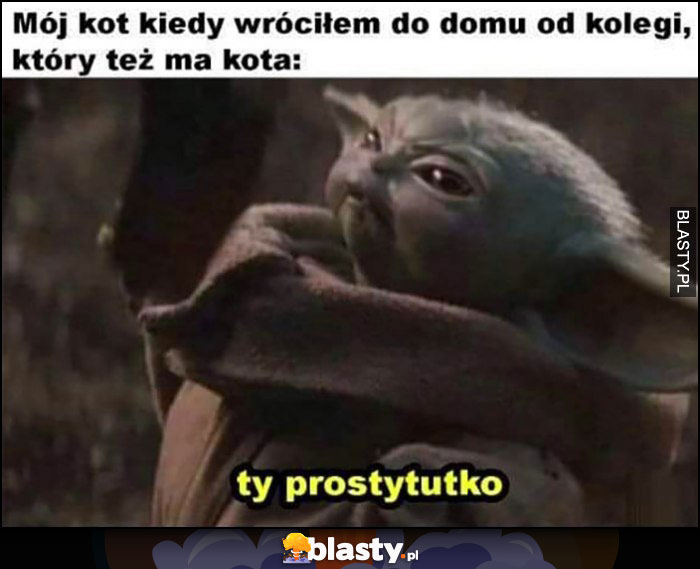 Mój kot kiedy wróciłem do domu od kolegi, który też ma kota, ty prostytutko baby Yoda