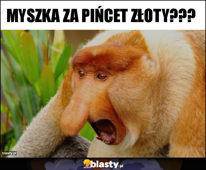 MYSZKA ZA PIŃCET ZŁOTY???