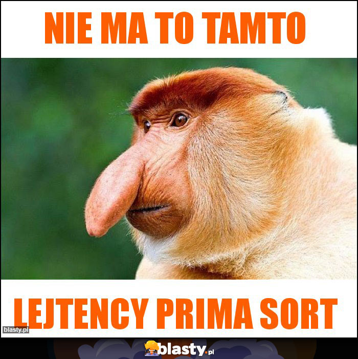 nie ma to tamto