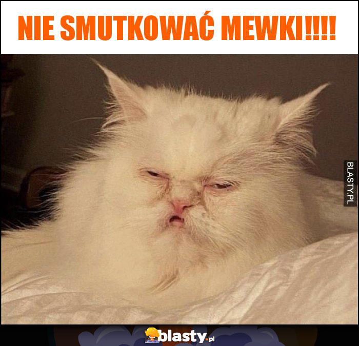 Nie smutkować Mewki!!!!