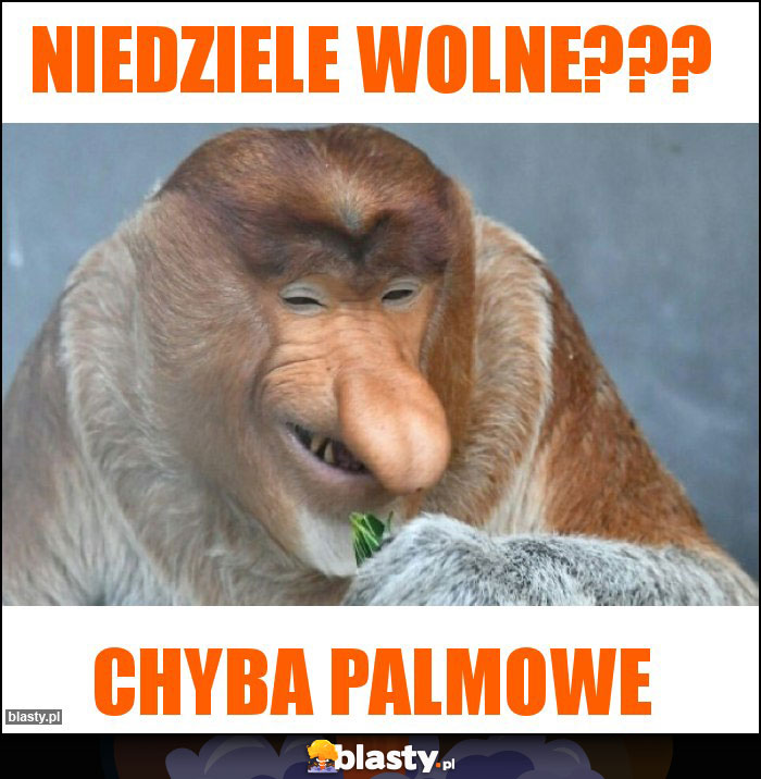 Niedziele wolne???