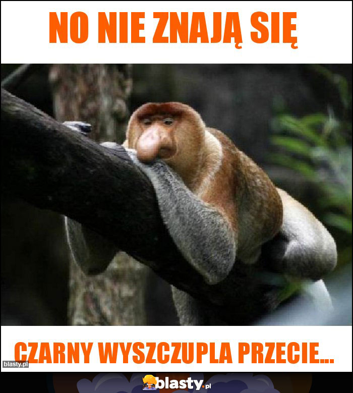 No nie znają się