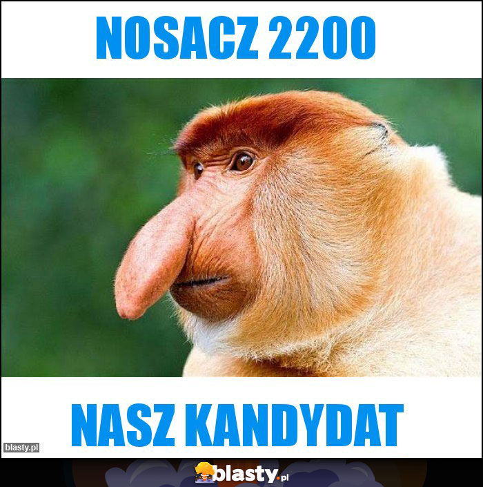 Nosacz 2200