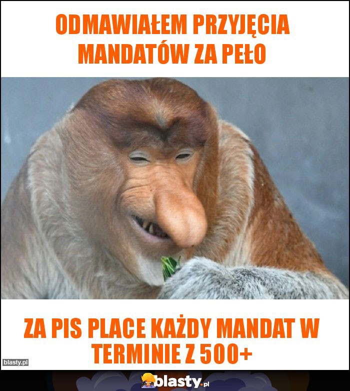 Odmawiałem przyjęcia mandatów za PeŁO