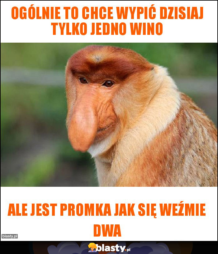 Ogólnie to chce wypić dzisiaj tylko jedno wino