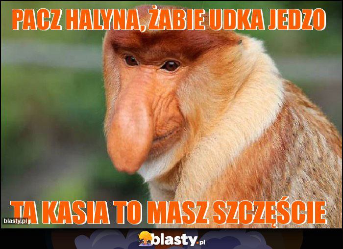 Pacz Halyna, żabie udka jedzo