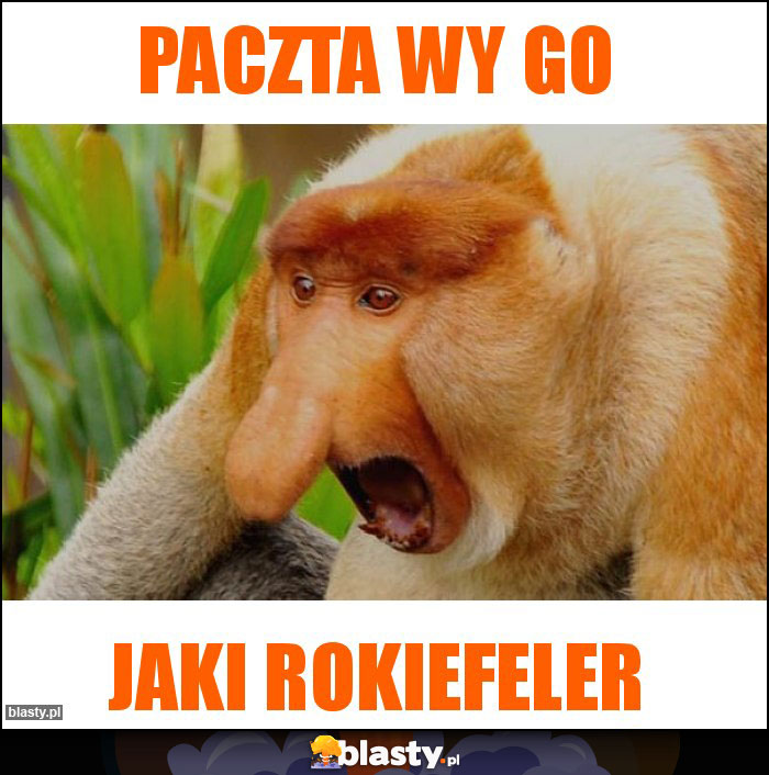 Paczta wy go