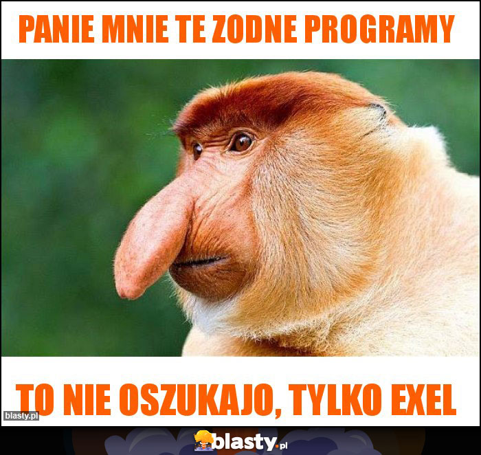 PANIE MNIE TE ZODNE PROGRAMY