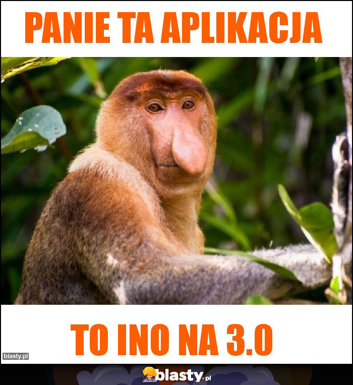 Panie ta aplikacja