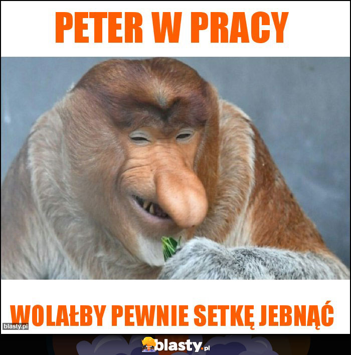 Peter w pracy