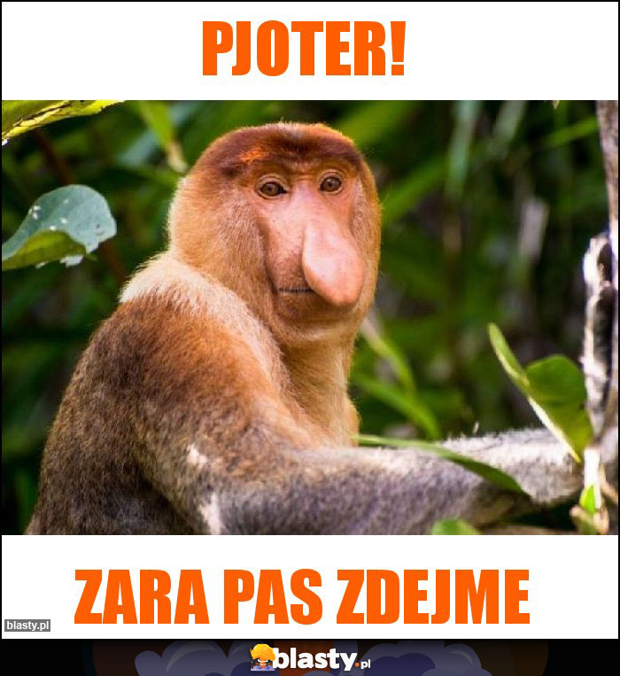 Pjoter!