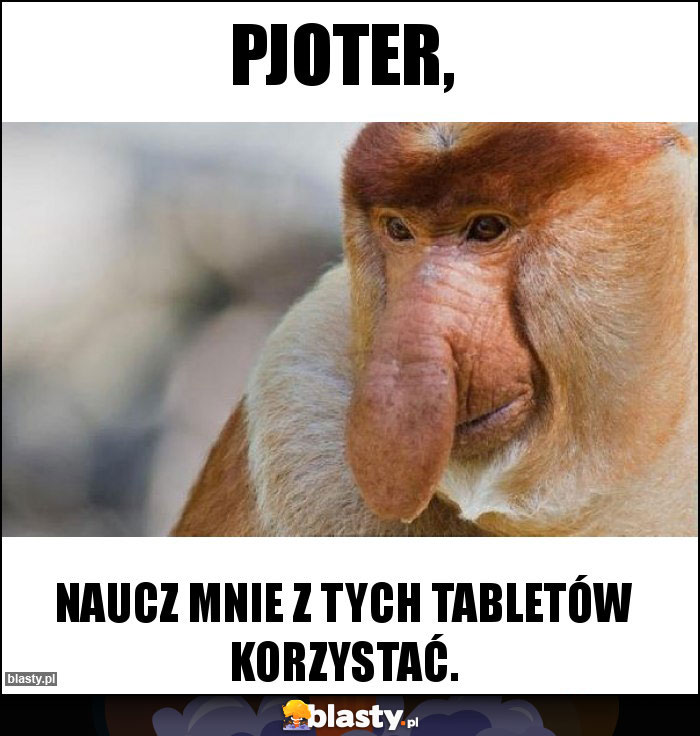 PJOTER,