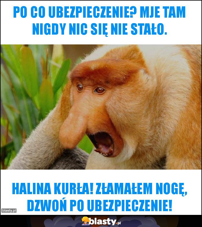 Po co ubezpieczenie? Mje tam nigdy nic się nie stało.