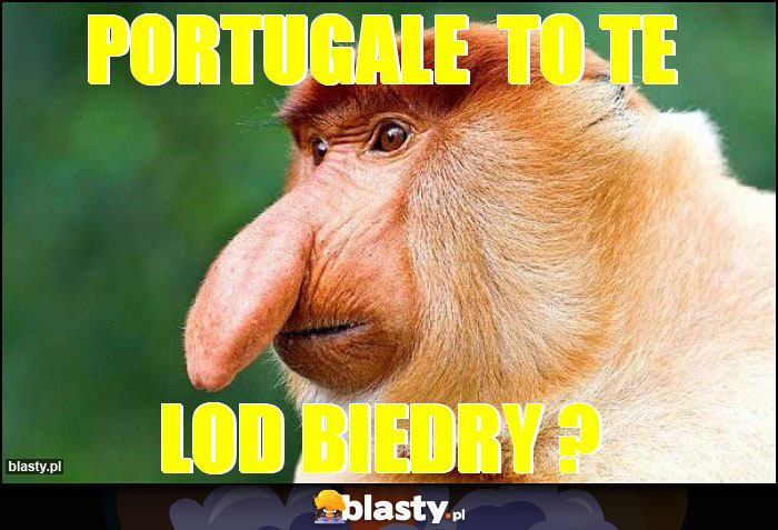 PORTUGALE  TO TE