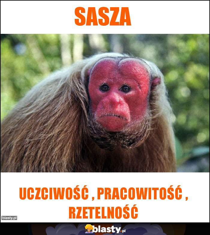 Sasza