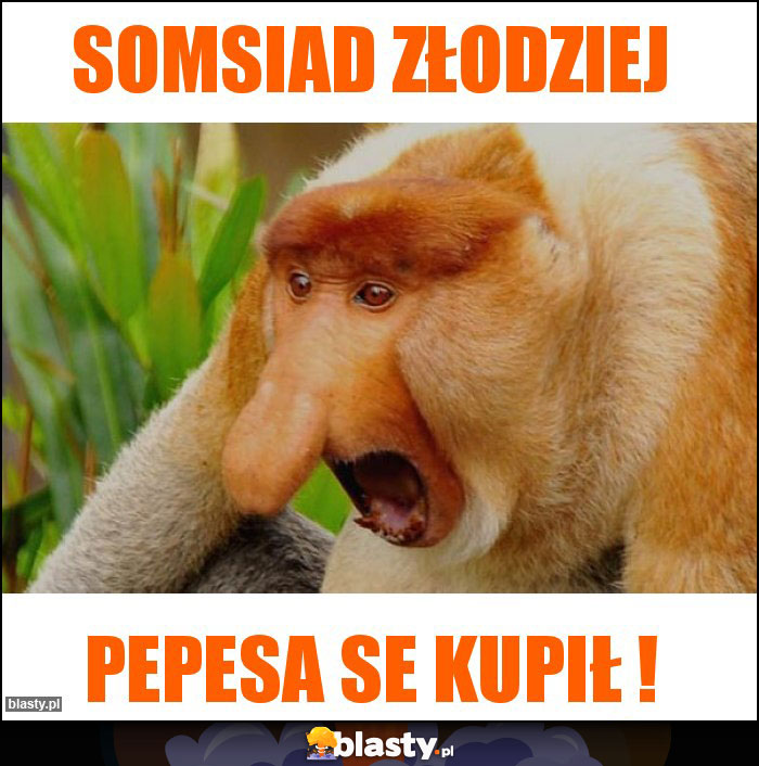 Somsiad złodziej