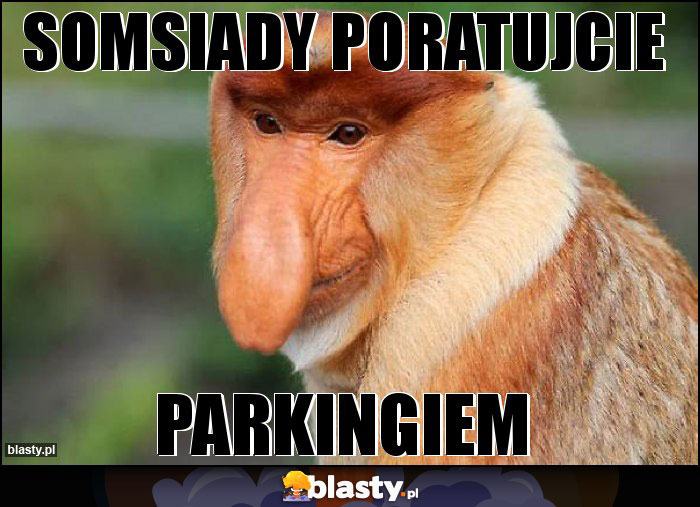 SOMSIADY PORATUJCIE