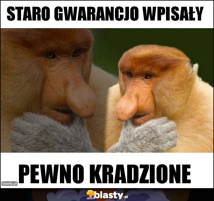 Staro gwarancjo wpisały