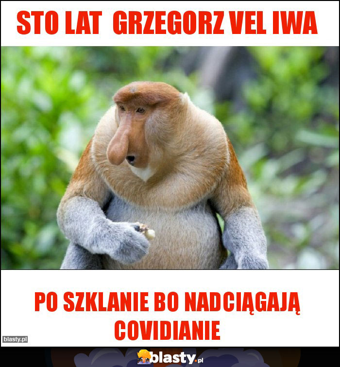 Sto lat  Grzegorz vel iwa