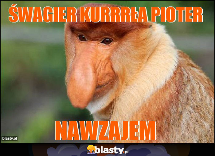 Śwagier kurrrła pioter