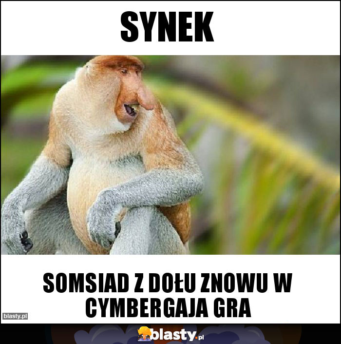 Synek