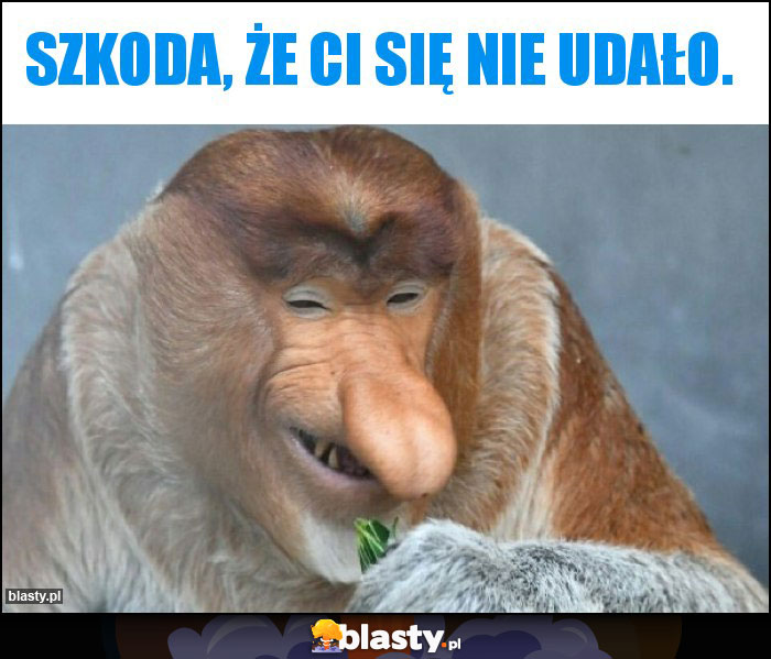 Szkoda, że Ci się nie udało.