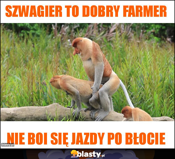 Szwagier to dobry farmer