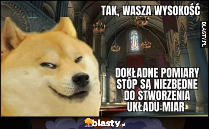 Tak wasza wysokość, dokładne pomiary stóp są niezbędne do stworzenia układu miar pies pieseł doge