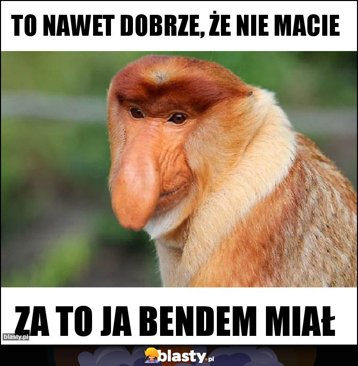 To nawet dobrze, że nie macie