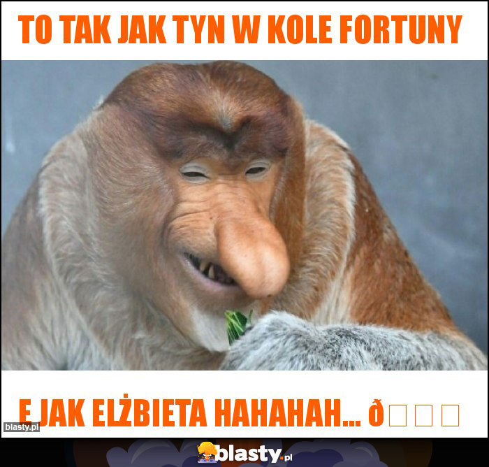 To tak jak tyn w Kole Fortuny