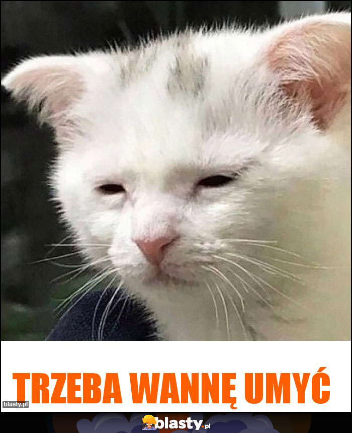 trzeba wannę umyć