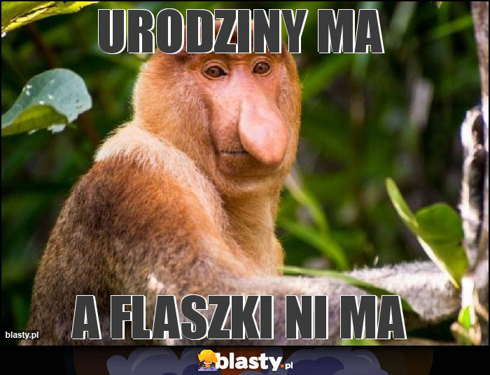 Urodziny ma