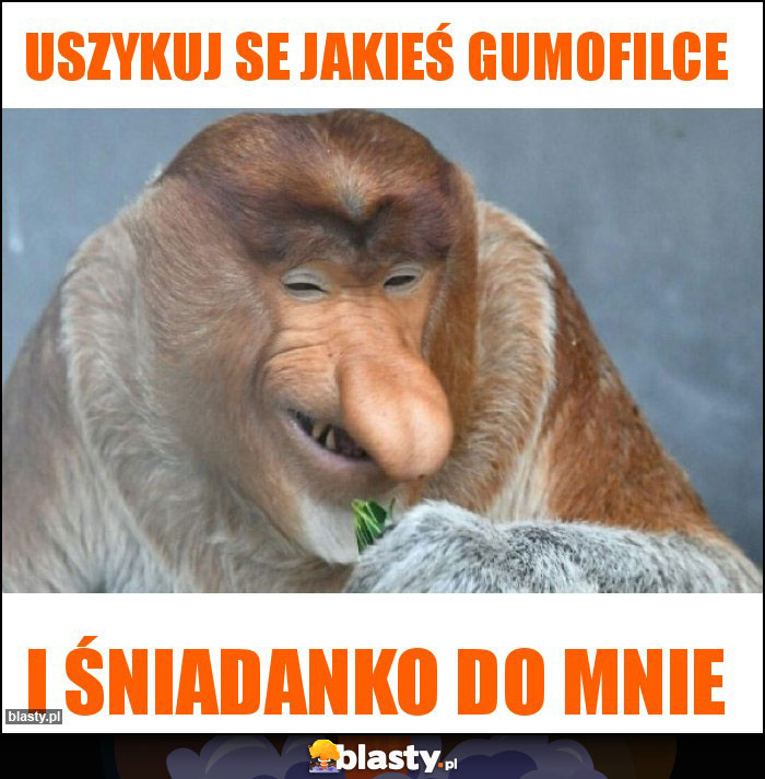 Uszykuj se jakieś Gumofilce