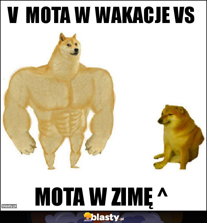 v  mota w wakacje vs