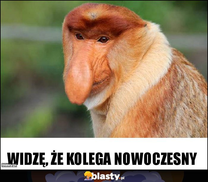 Widzę, że kolega nowoczesny