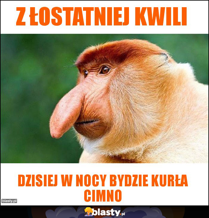 Z łostatniej kwili