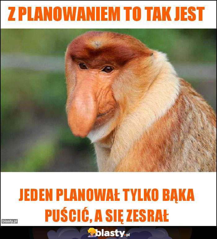 Z planowaniem to tak jest