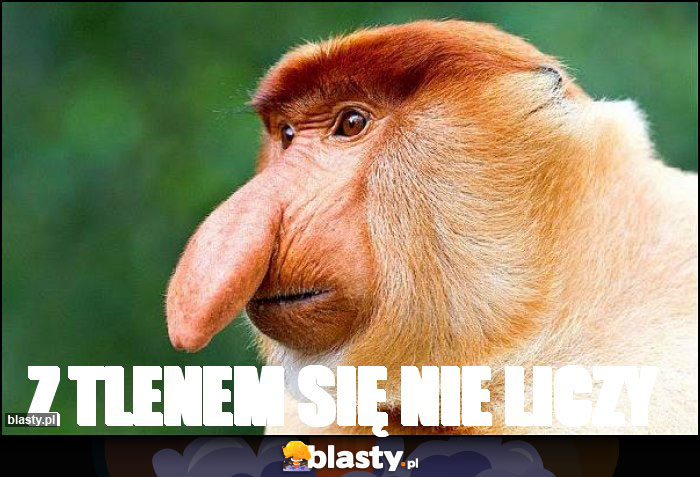 Z TLENEM SIĘ NIE LICZY