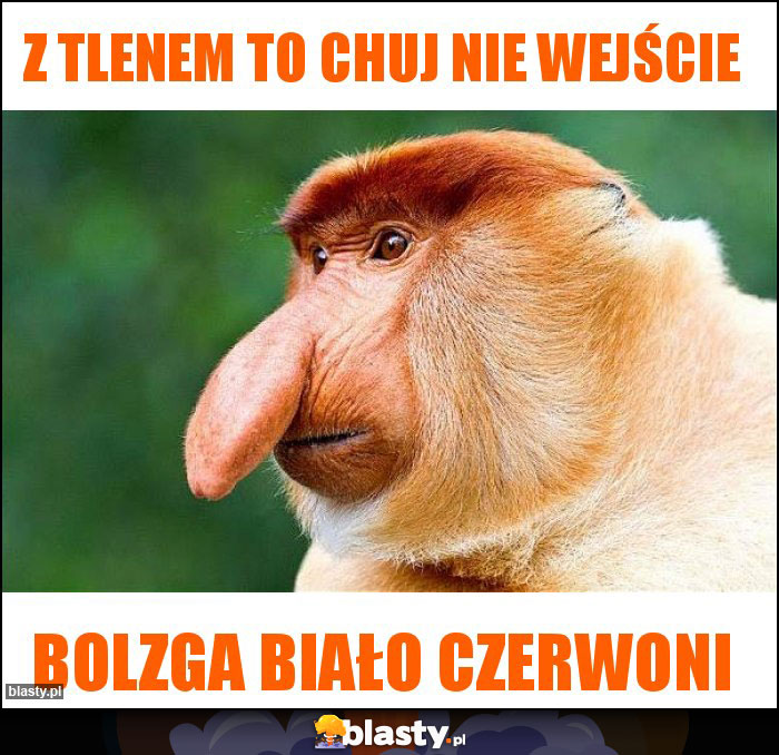 Z tlenem to chuj nie wejście