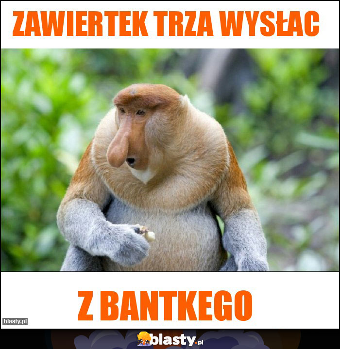 Zawiertek trza wysłac