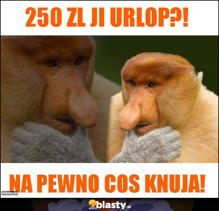 250 zl ji urlop?!