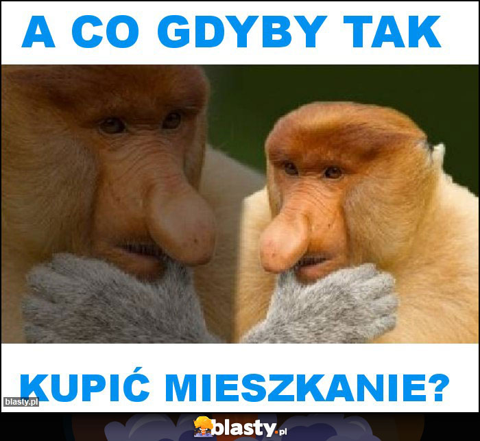 A co gdyby tak