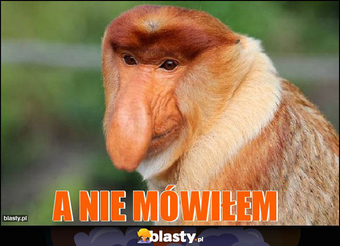 a nie mówiłem