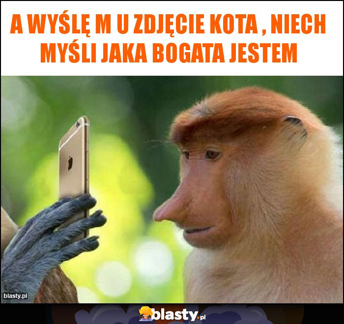 A wyślę m u zdjęcie kota , niech myśli jaka bogata jestem